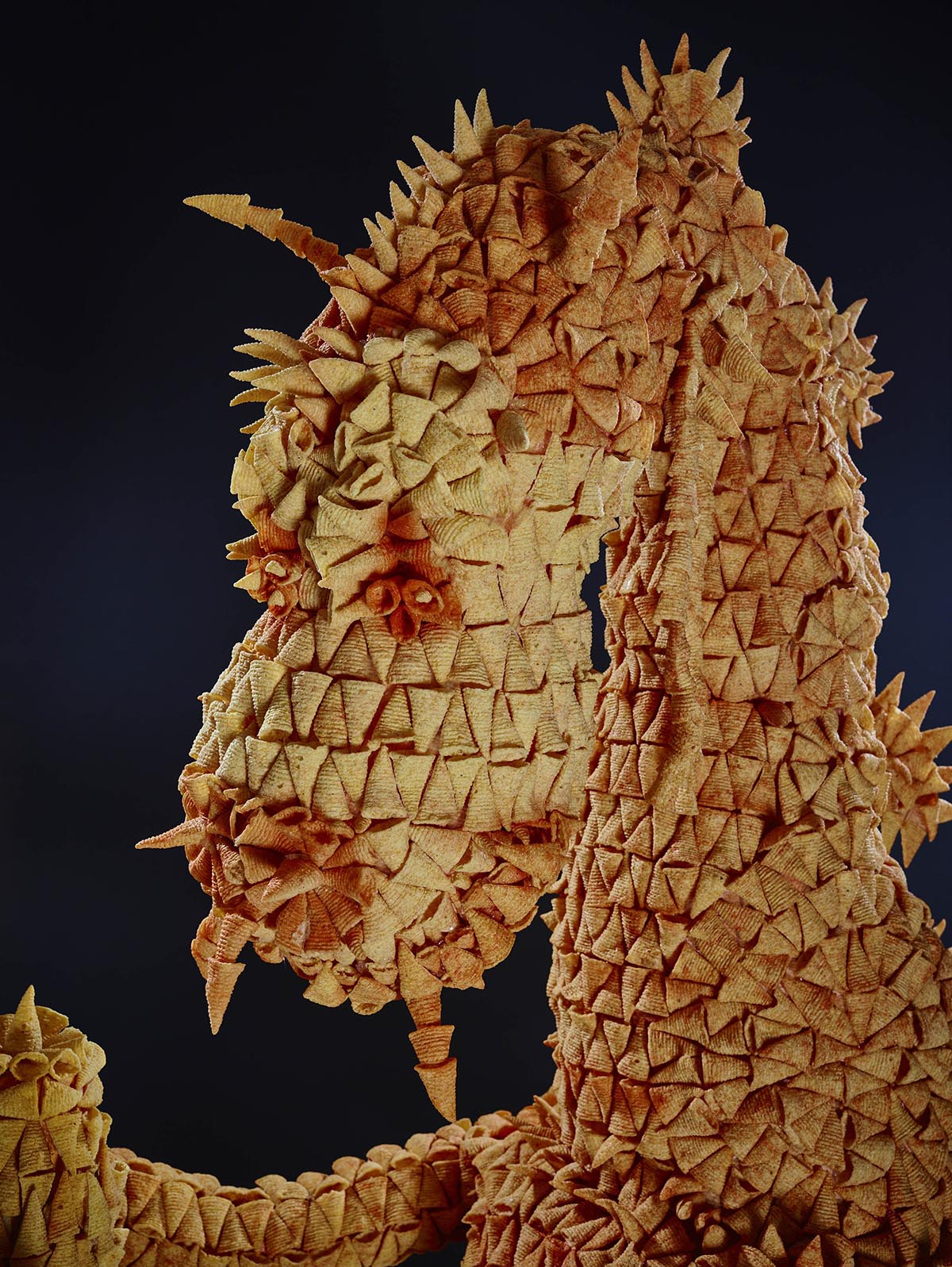 Walkers_Bugles_078_head